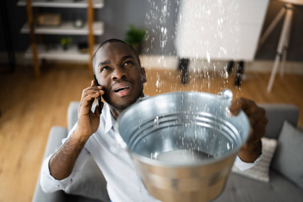 Best Water damage contractors near me  in Greenfield, MO