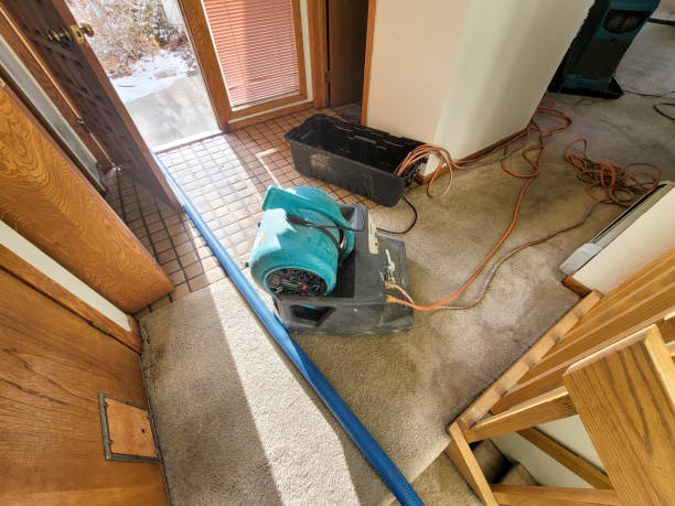 Best Water damage cleanup near me  in Greenfield, MO