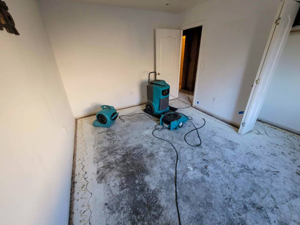 Professional Water damage restoration in Greenfield, MO