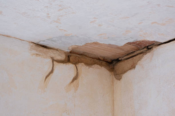 Best Local water damage restoration  in Greenfield, MO