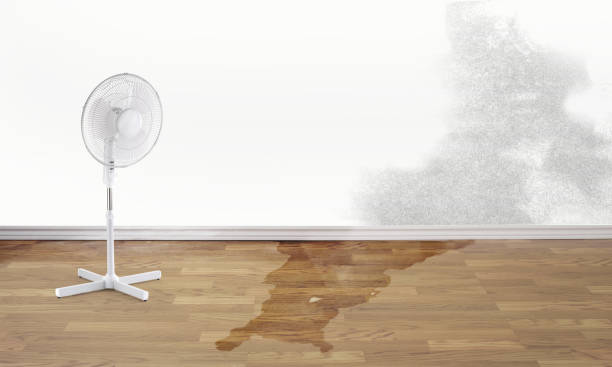 Best Flooded house restoration  in Greenfield, MO