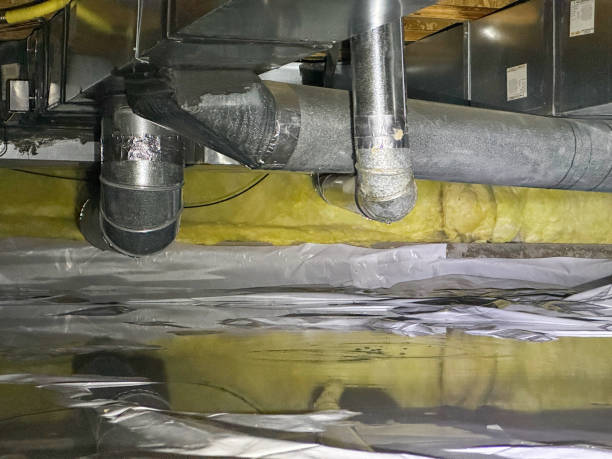 Best Water damage contractors near me  in Greenfield, MO