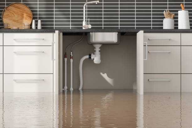 Reliable Greenfield, MO Water damage restoration Solutions