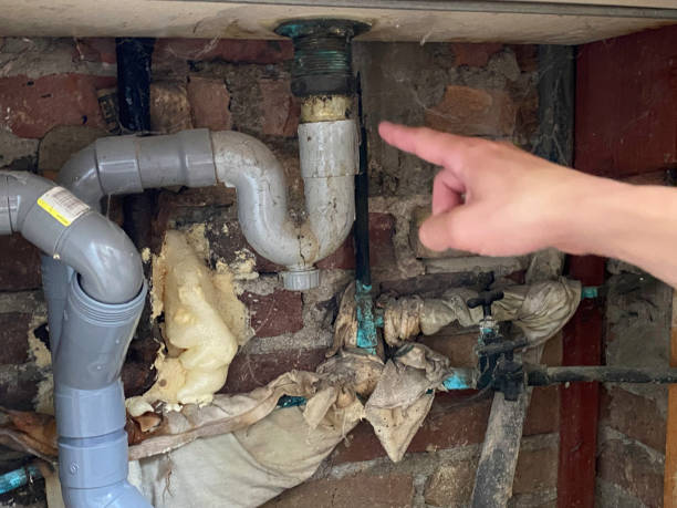 Best Mold removal after water damage  in Greenfield, MO