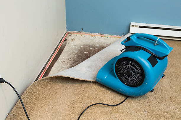 Best Emergency water damage restoration  in Greenfield, MO